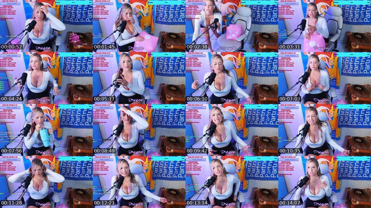 Contact-sheet preview of TheOneAndOnlyDragon's Twitch recording