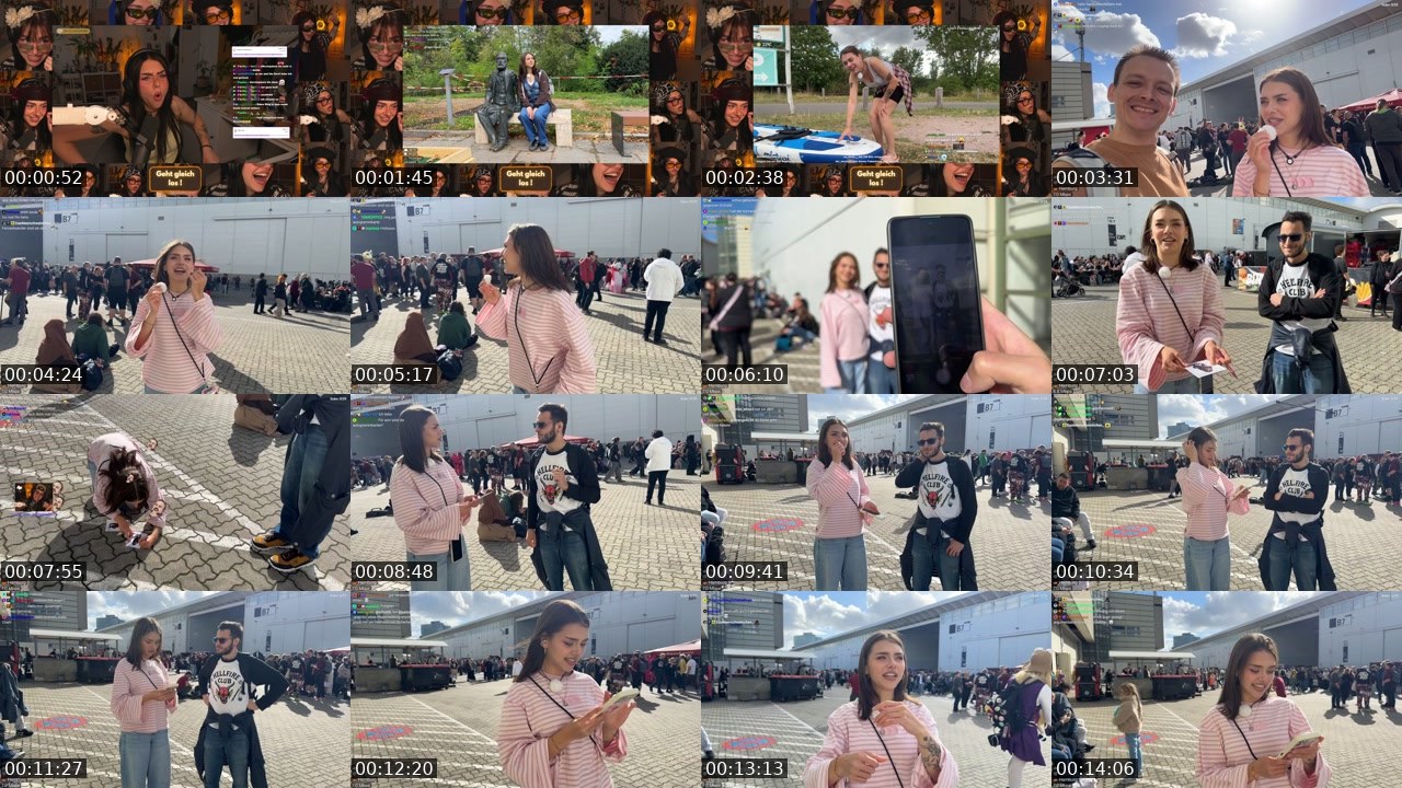 Contact-sheet preview of schiddii's Twitch recording