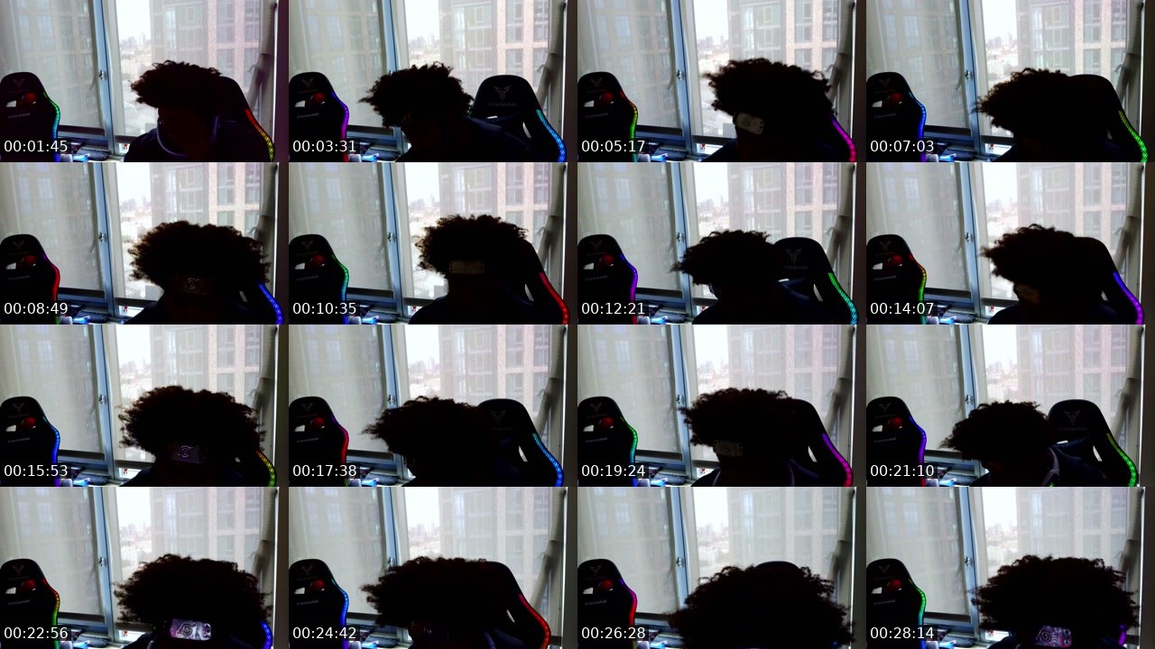 Contact-sheet preview of Nigaut0's Twitch recording