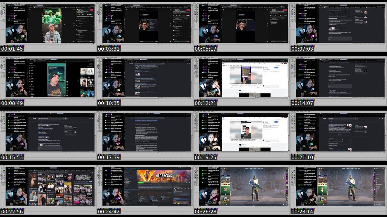 Contact-sheet preview of Luvsikk's Twitch recording