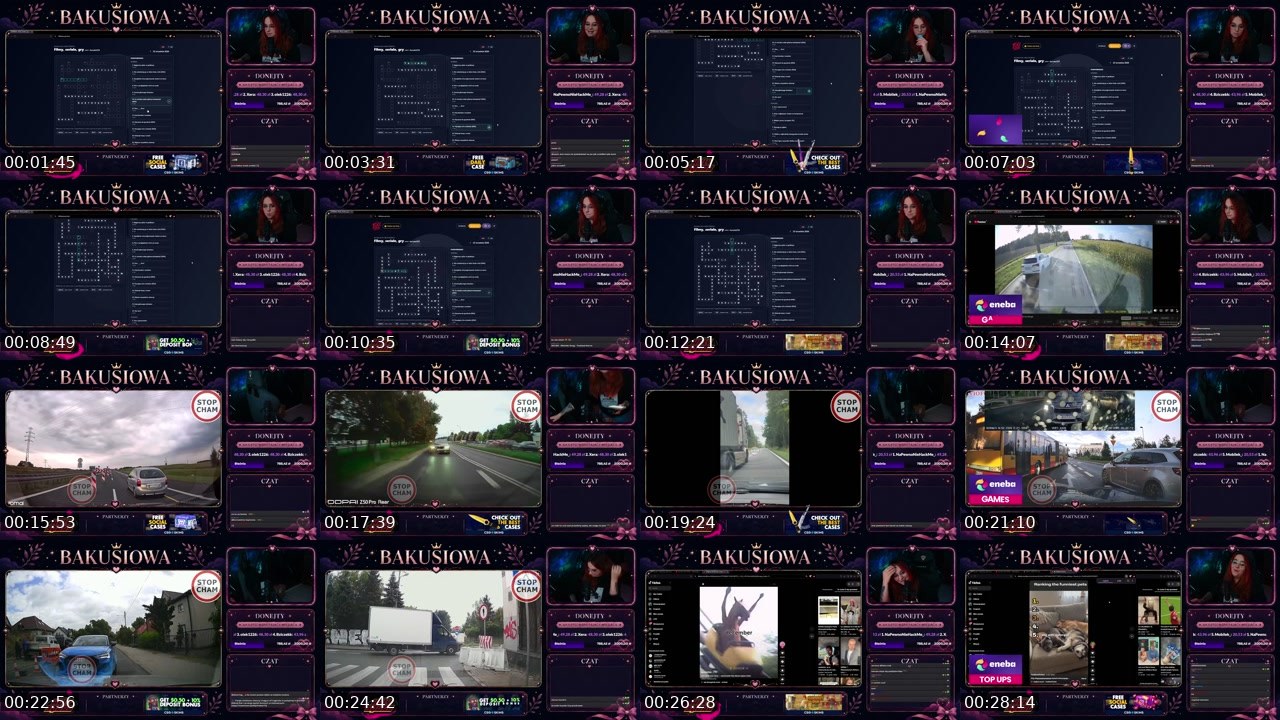 Contact-sheet preview of Bakusiowa's Twitch recording