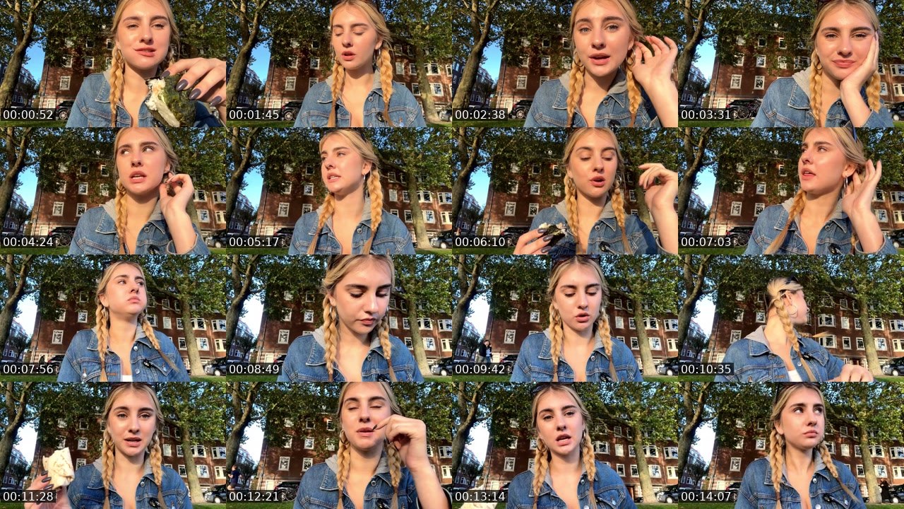 Contact-sheet preview of gracelyra's Twitch recording