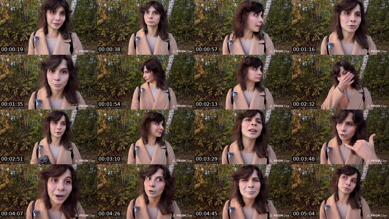 Contact-sheet preview of NiferiaA's Twitch recording