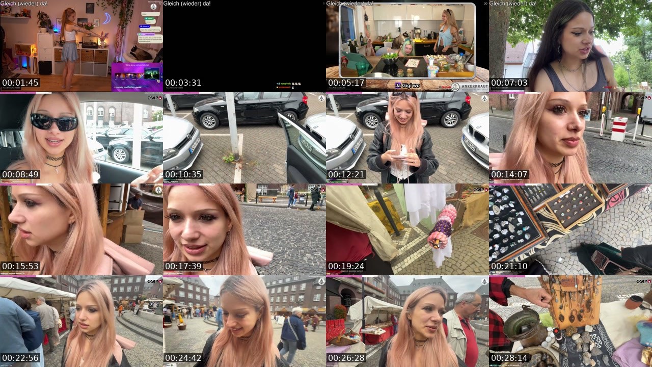 Contact-sheet preview of almostfeline's Twitch recording