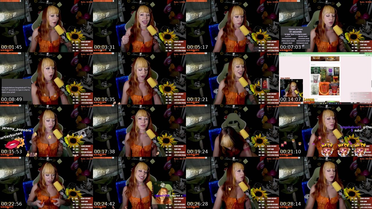 Contact-sheet preview of MissLeemaLee's Twitch recording
