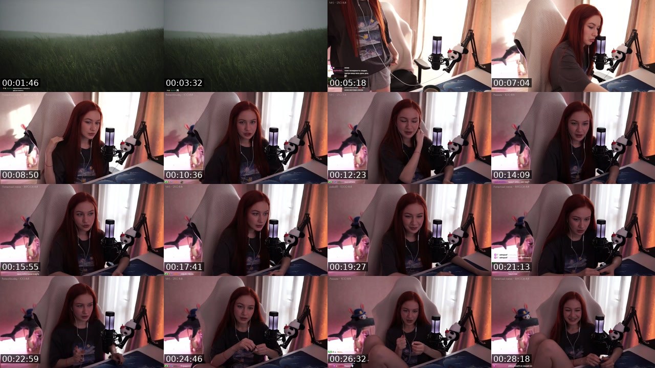 Contact-sheet preview of MissAlina23's Twitch recording