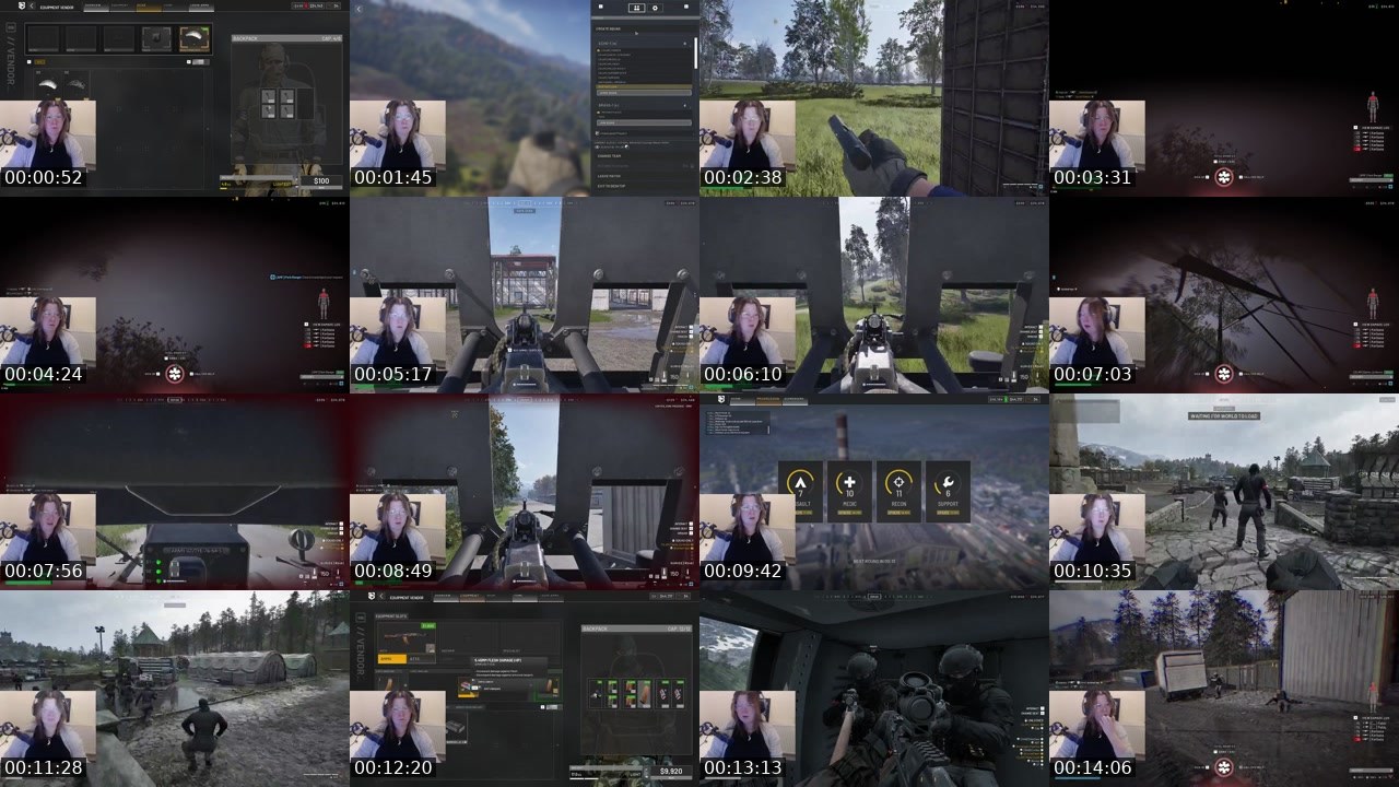 Contact-sheet preview of BicktheFlean's Twitch recording