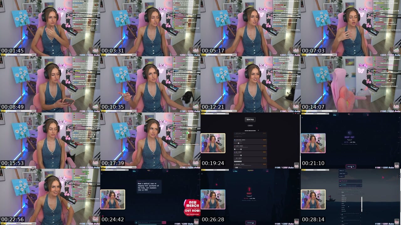 Contact-sheet preview of ItsSky's Twitch recording