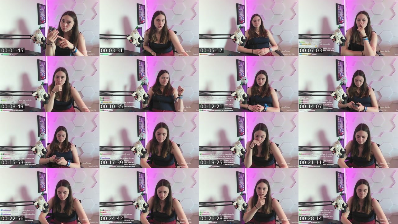 Contact-sheet preview of leiluuuuu's Twitch recording