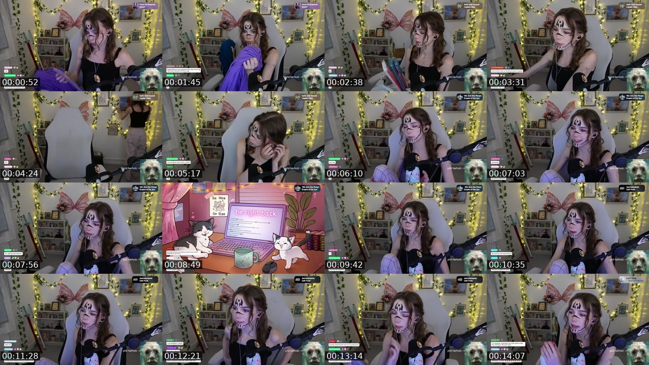 Contact-sheet preview of hollsbeauti's Twitch recording