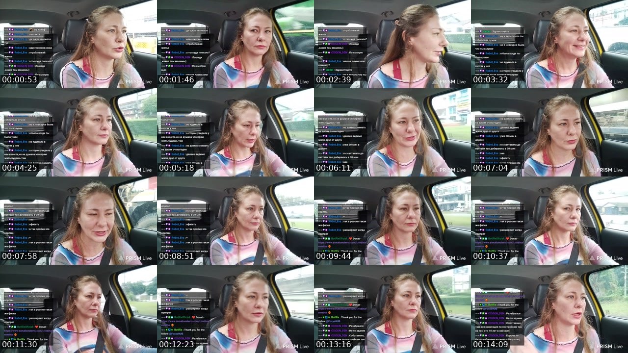 Contact-sheet preview of rodinafromthai's Twitch recording