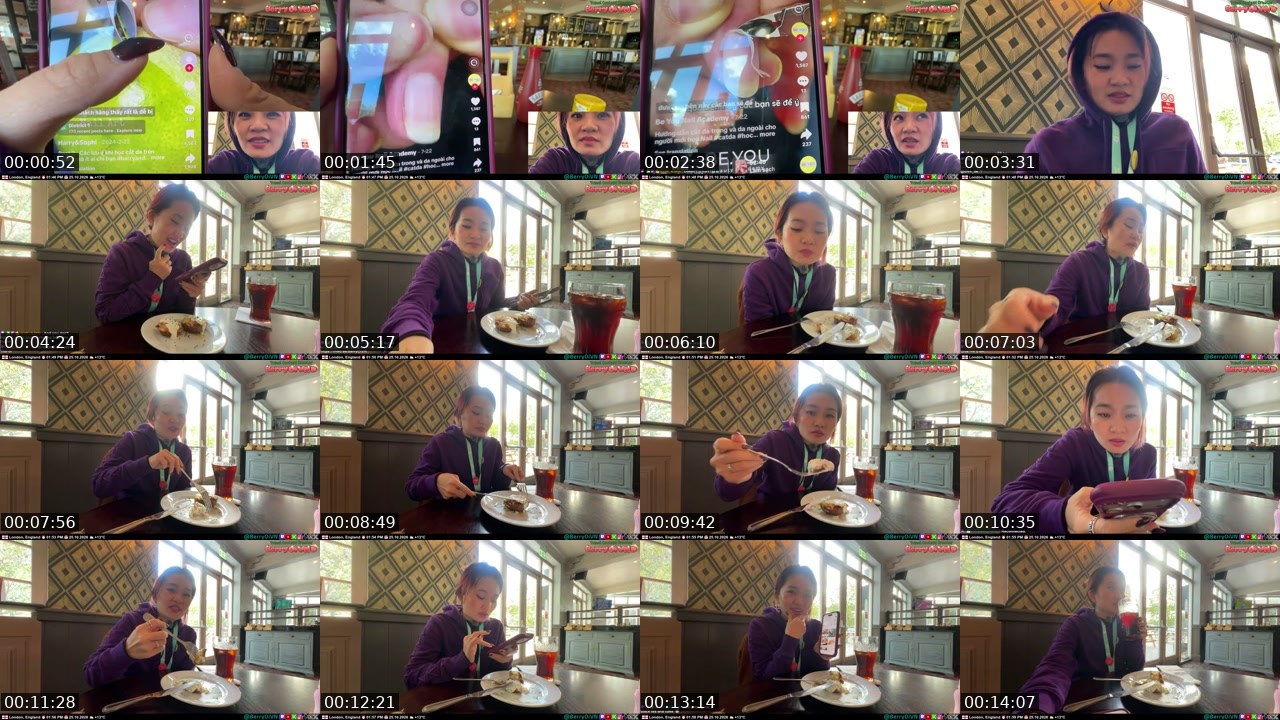 Contact-sheet preview of BerryOi's Twitch recording