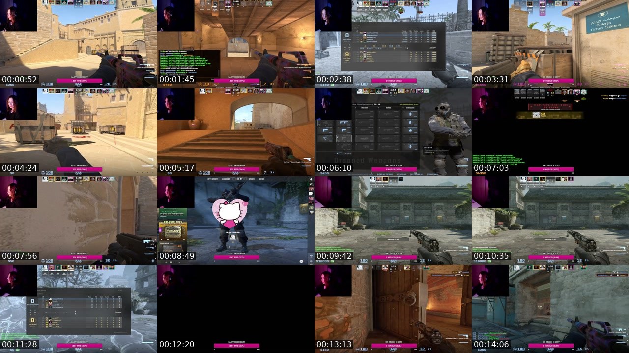 Contact-sheet preview of ariwka21's Twitch recording