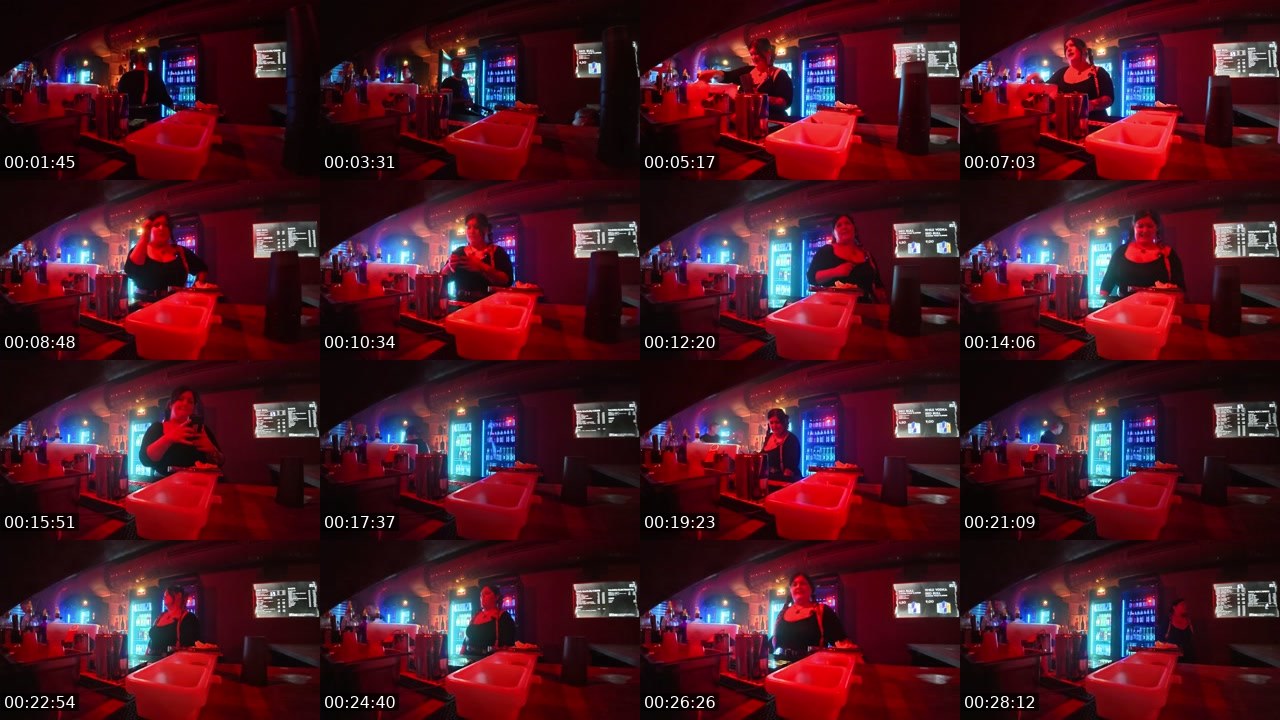 Contact-sheet preview of Laylalicious's Twitch recording