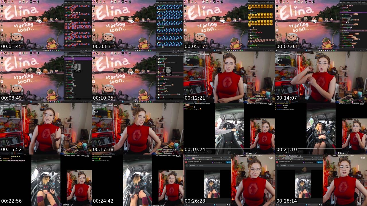 Contact-sheet preview of Elina's Twitch recording