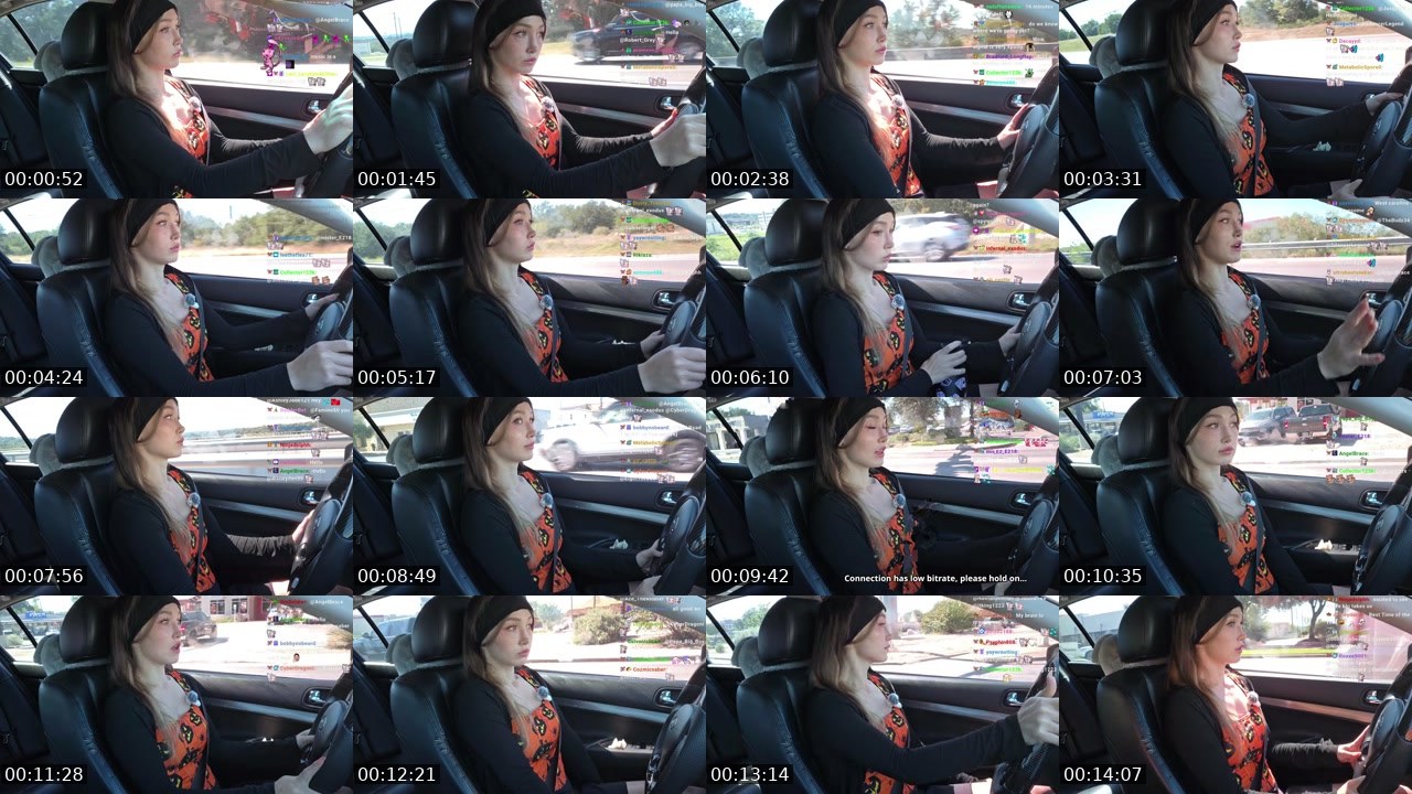 Contact-sheet preview of BluKitsune9's Twitch recording
