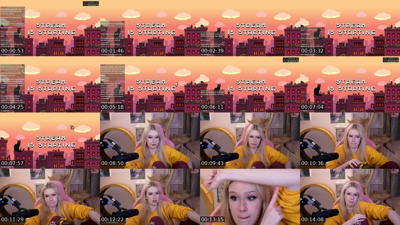 Contact-sheet preview of DomesticBliss's Twitch recording