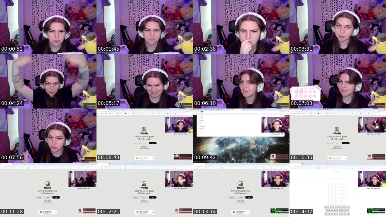 Contact-sheet preview of ilovecapybarasssss's Twitch recording