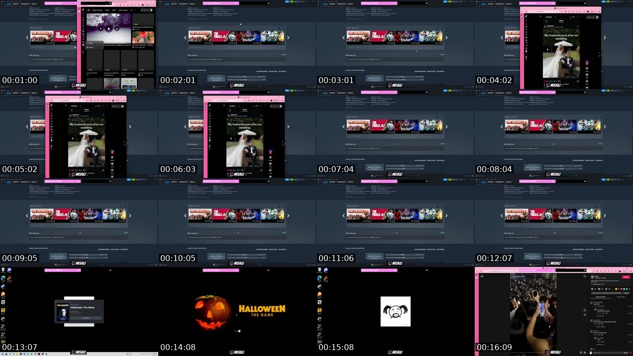 Contact-sheet preview of misaxj's Twitch recording