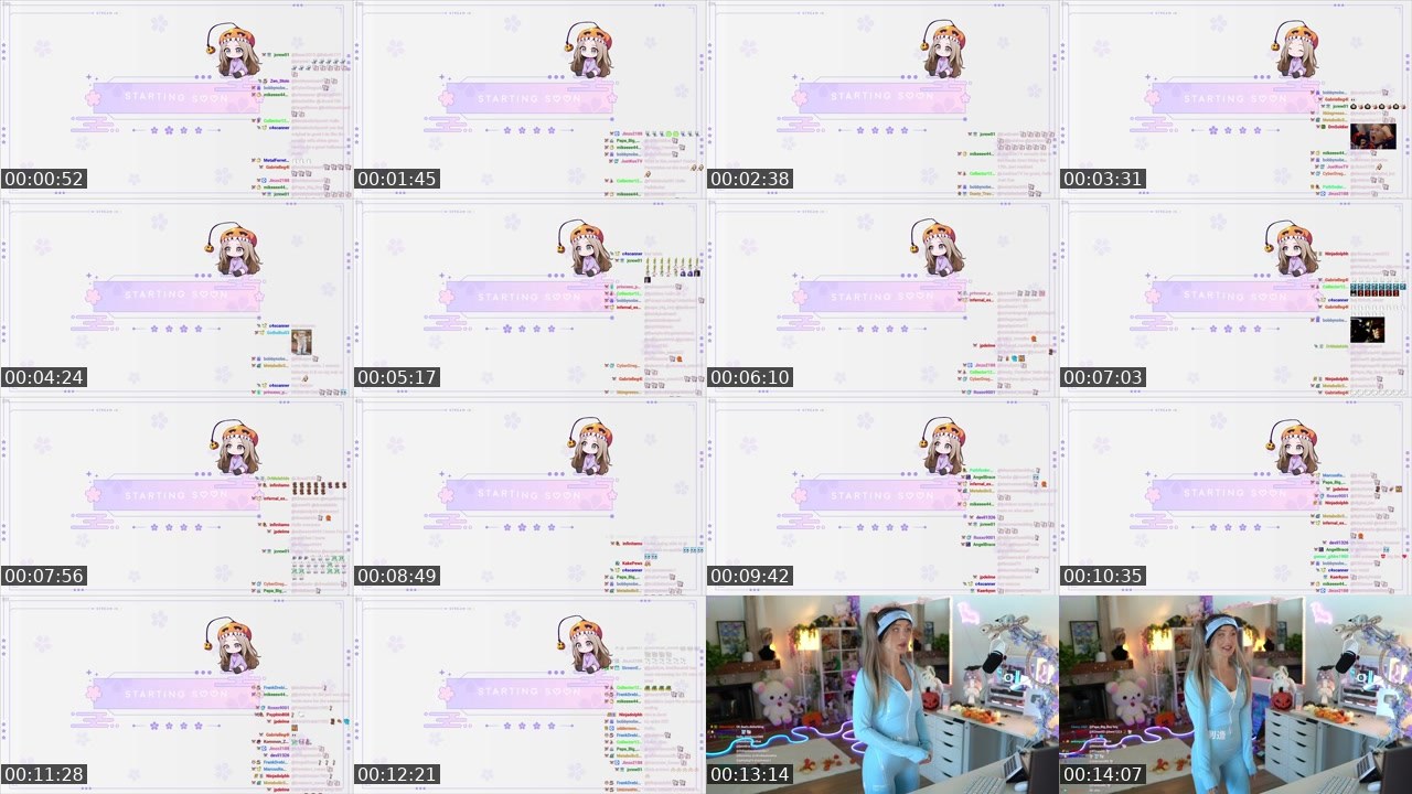 Contact-sheet preview of BluKitsune9's Twitch recording