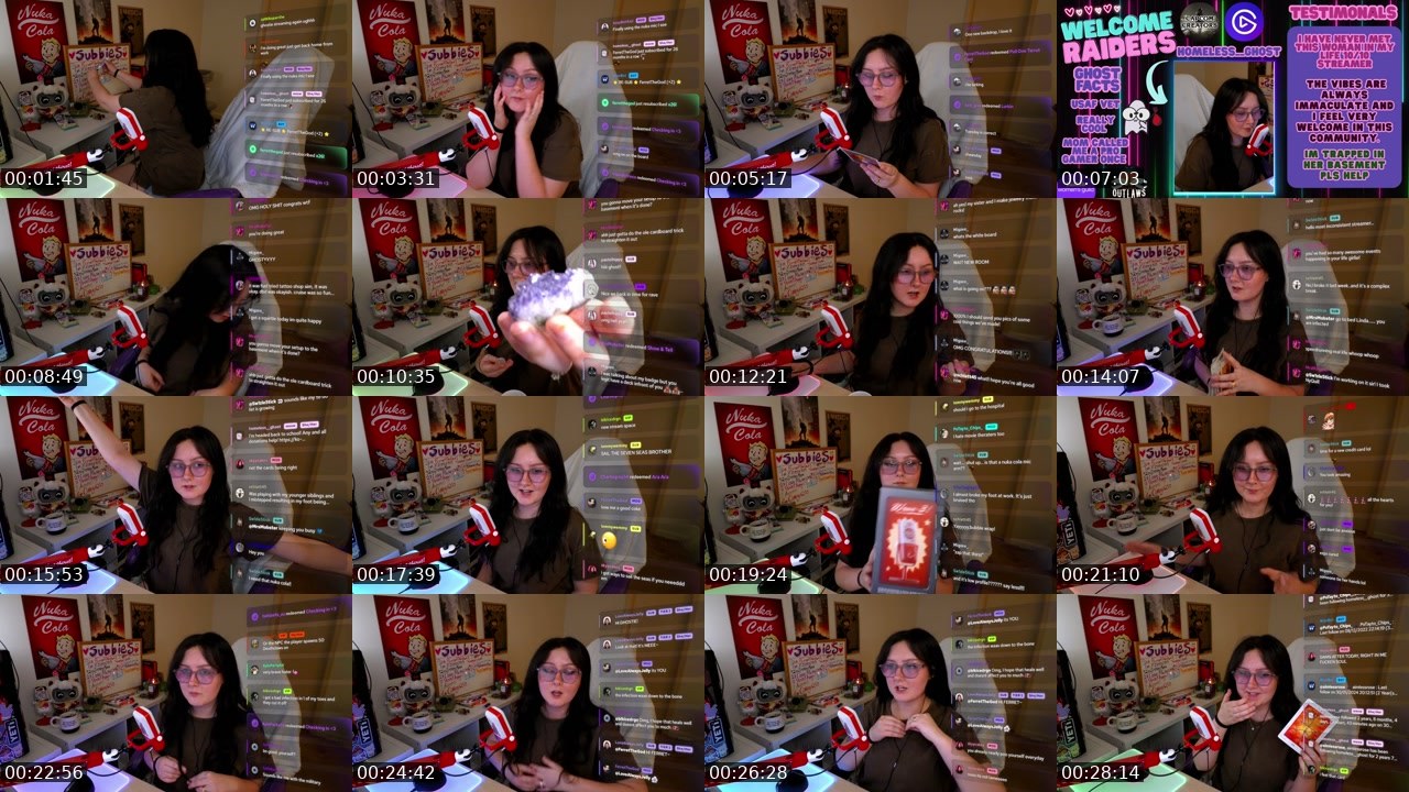Contact-sheet preview of homeless__ghost's Twitch recording