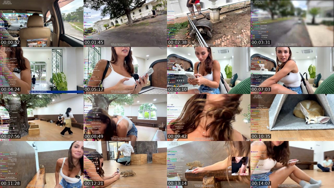 Contact-sheet preview of outplayedbyjade's Twitch recording