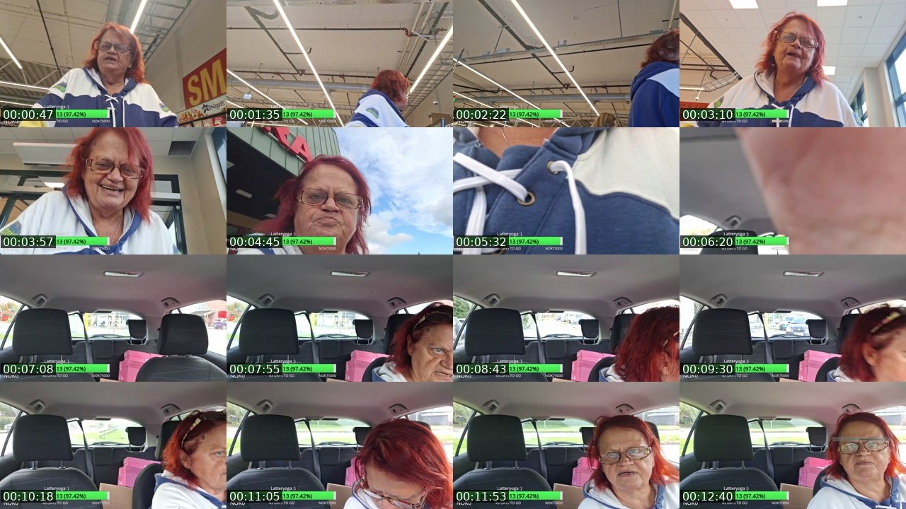 Contact-sheet preview of pondernmutza's Twitch recording