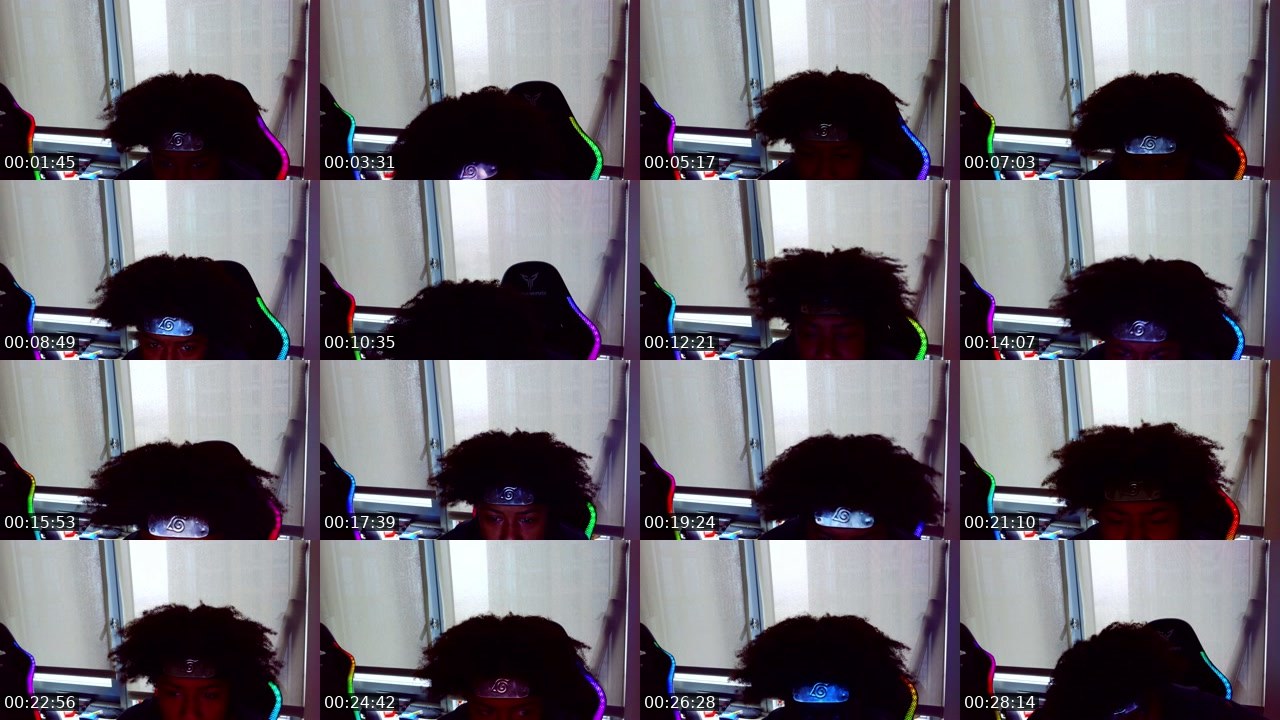 Contact-sheet preview of Nigaut0's Twitch recording