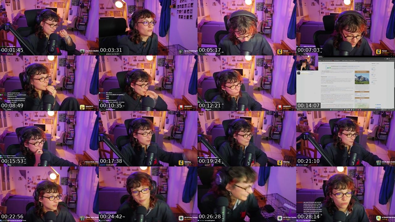 Contact-sheet preview of leihley's Twitch recording