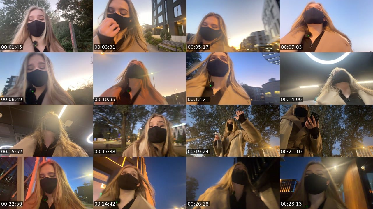 Contact-sheet preview of perlinna's Twitch recording