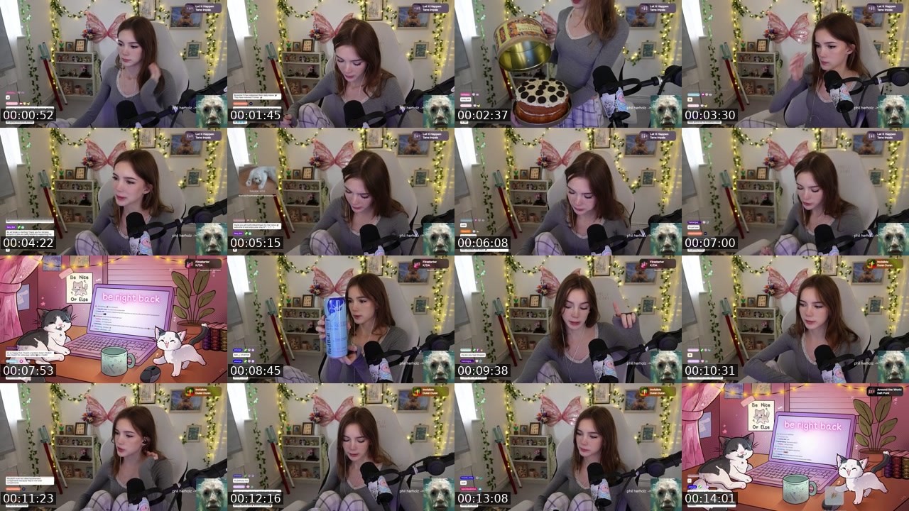 Contact-sheet preview of hollsbeauti's Twitch recording