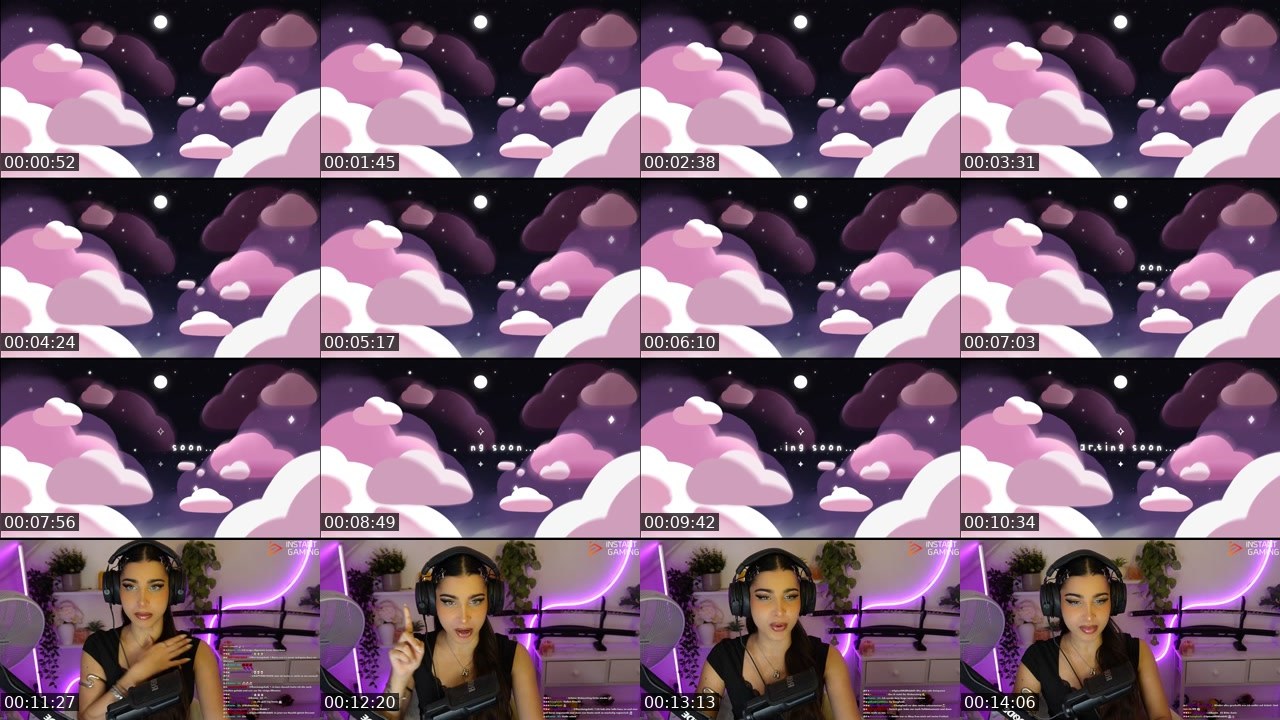 Contact-sheet preview of Naschiitaschii's Twitch recording