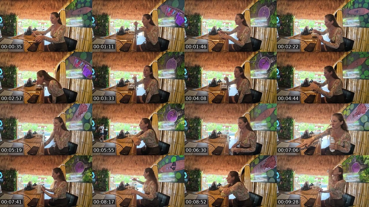 Contact-sheet preview of rodinafromthai's Twitch recording