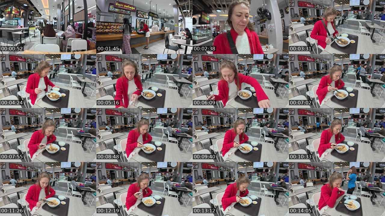 Contact-sheet preview of rodinafromthai's Twitch recording