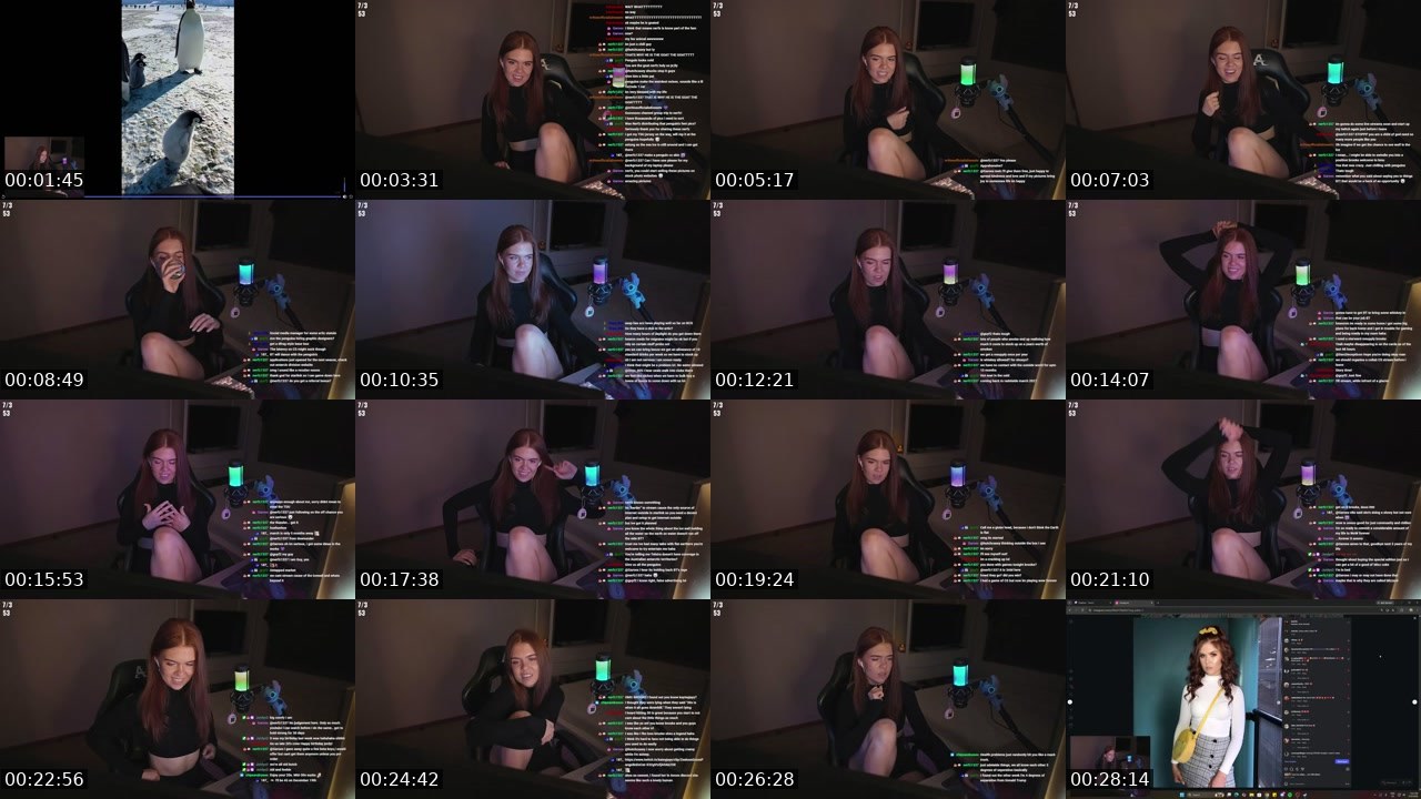 Contact-sheet preview of basicBT's Twitch recording