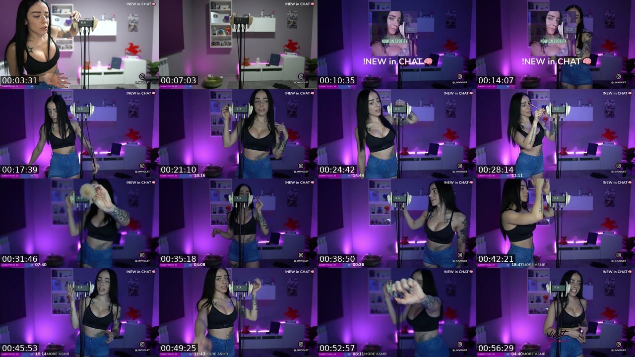 Contact-sheet preview of imviolet_'s Twitch recording