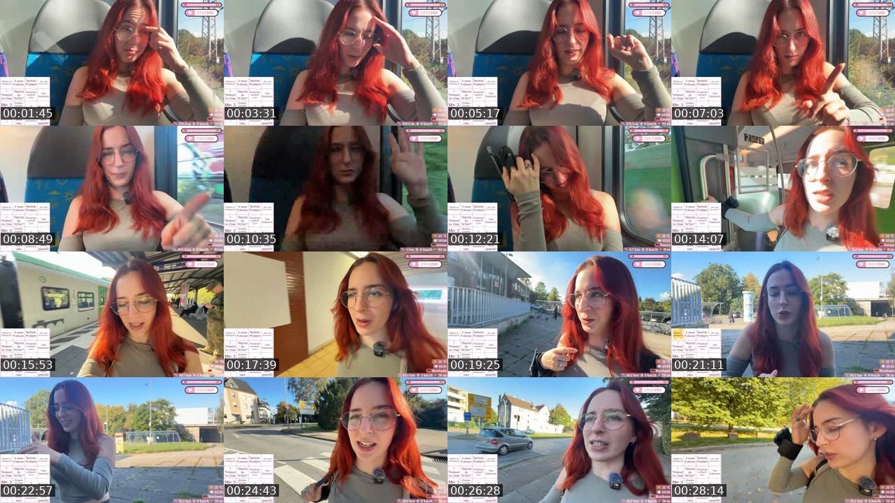 Contact-sheet preview of zarah's Twitch recording