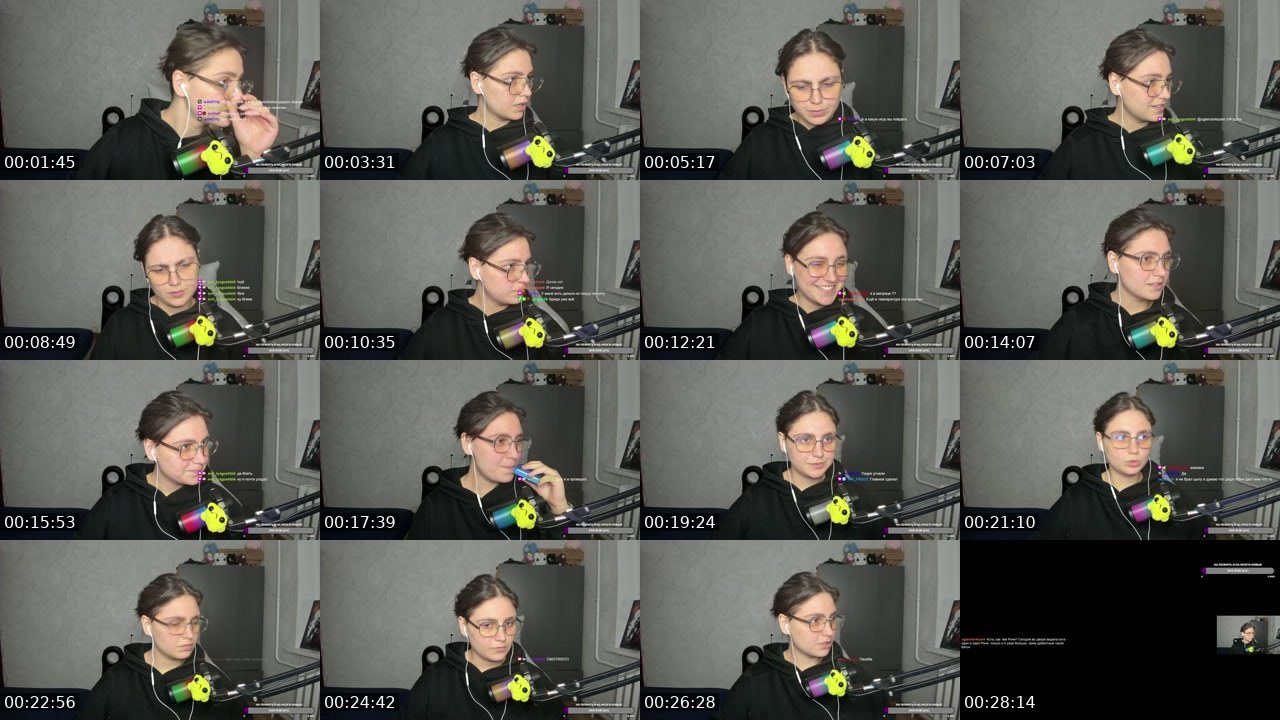 Contact-sheet preview of LiNN24's Twitch recording