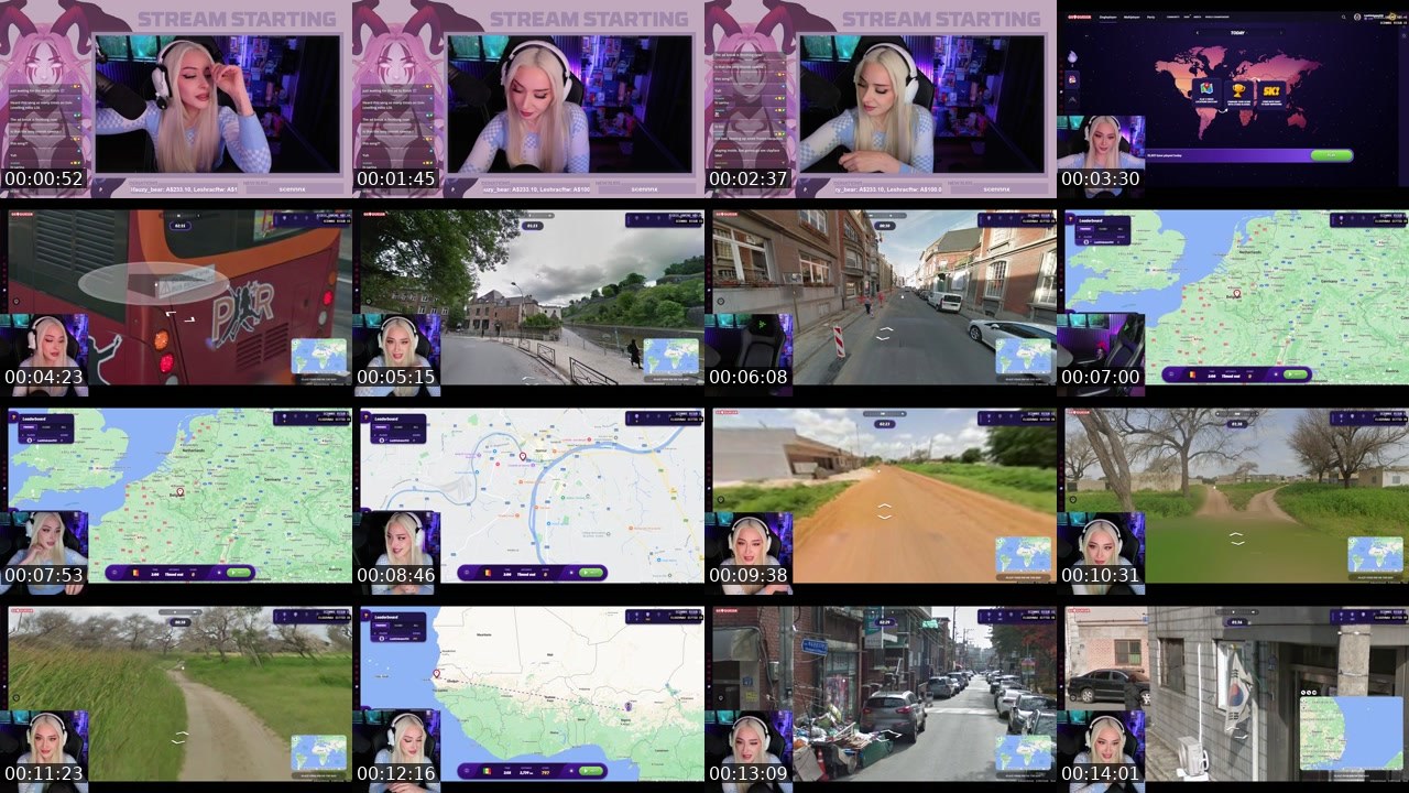 Contact-sheet preview of sarina's Twitch recording