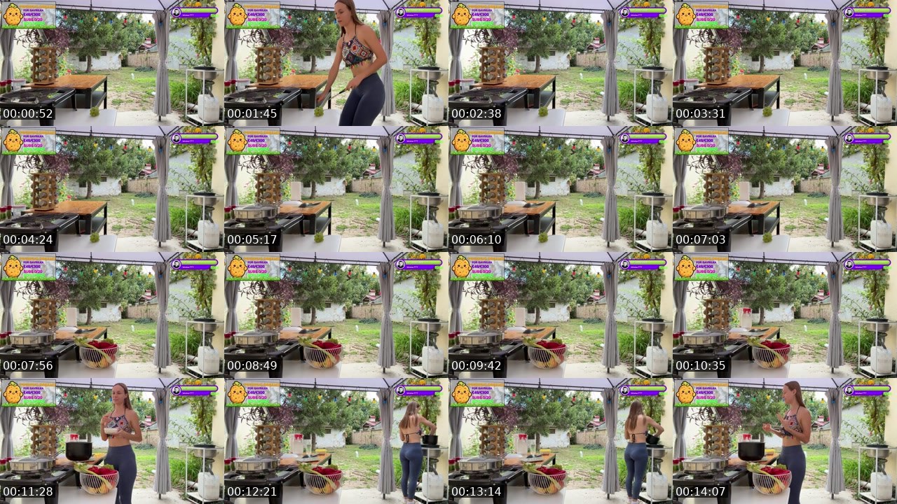 Contact-sheet preview of Gavrilka's Twitch recording
