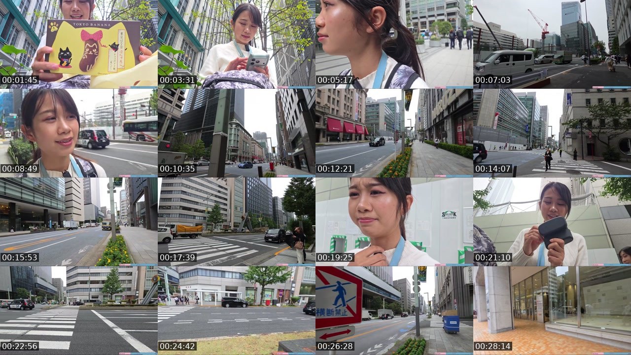Contact-sheet preview of Yoshimyan's Twitch recording
