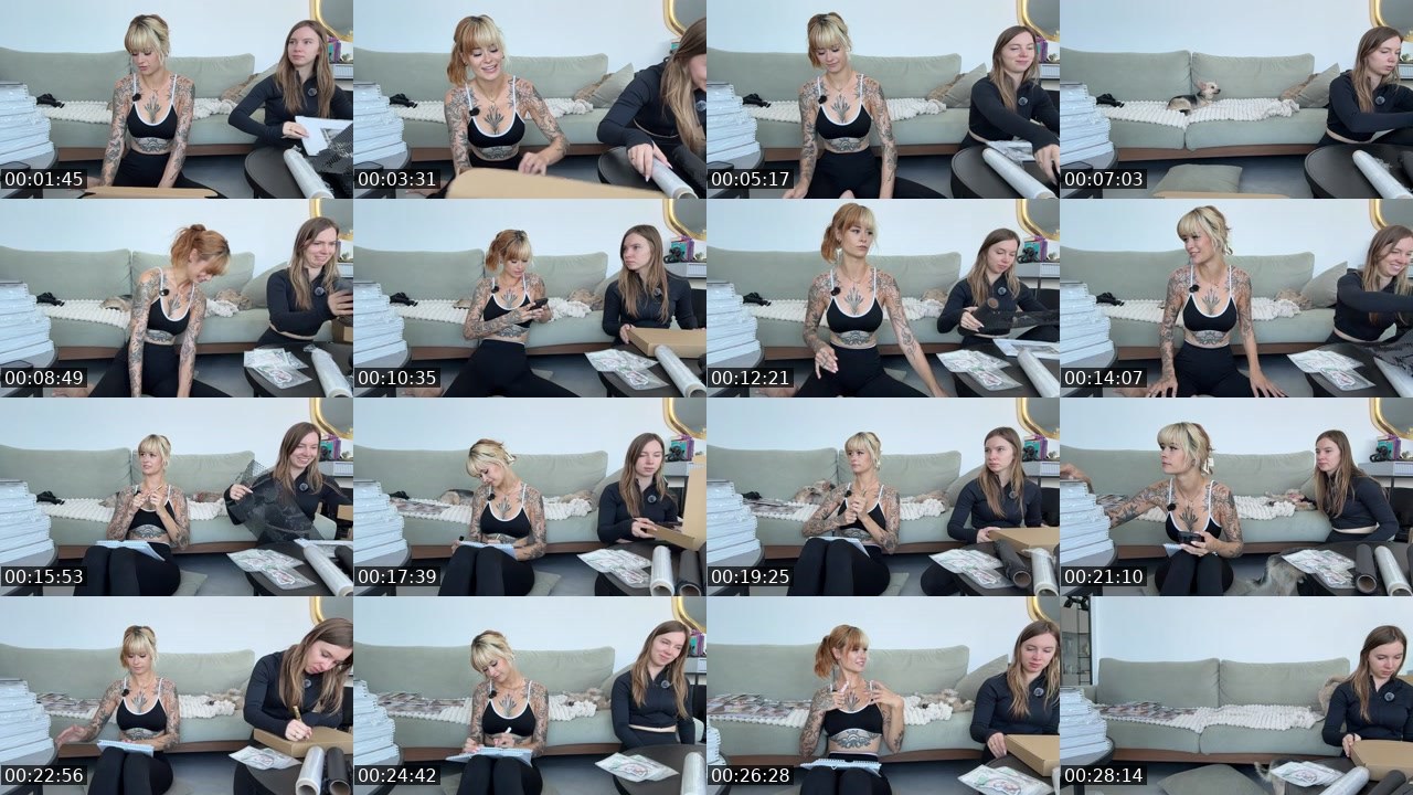 Contact-sheet preview of sallydinosaur_'s Twitch recording