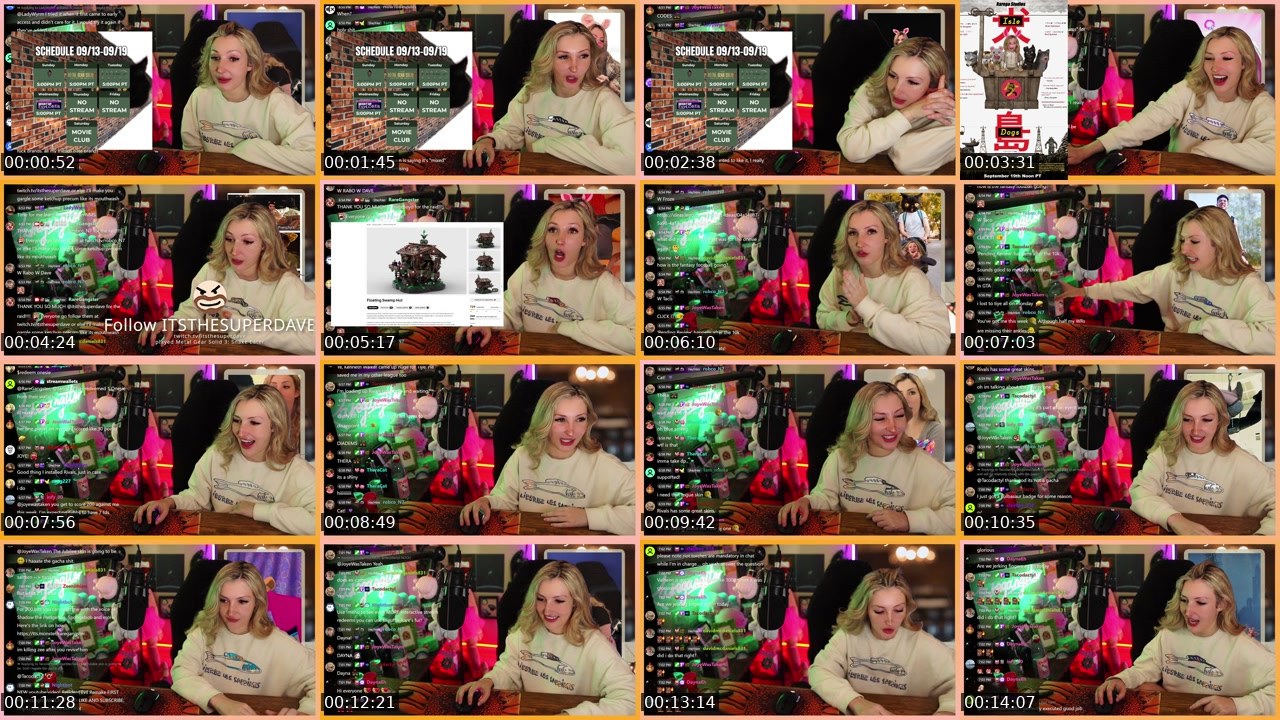 Contact-sheet preview of RareGangster's Twitch recording