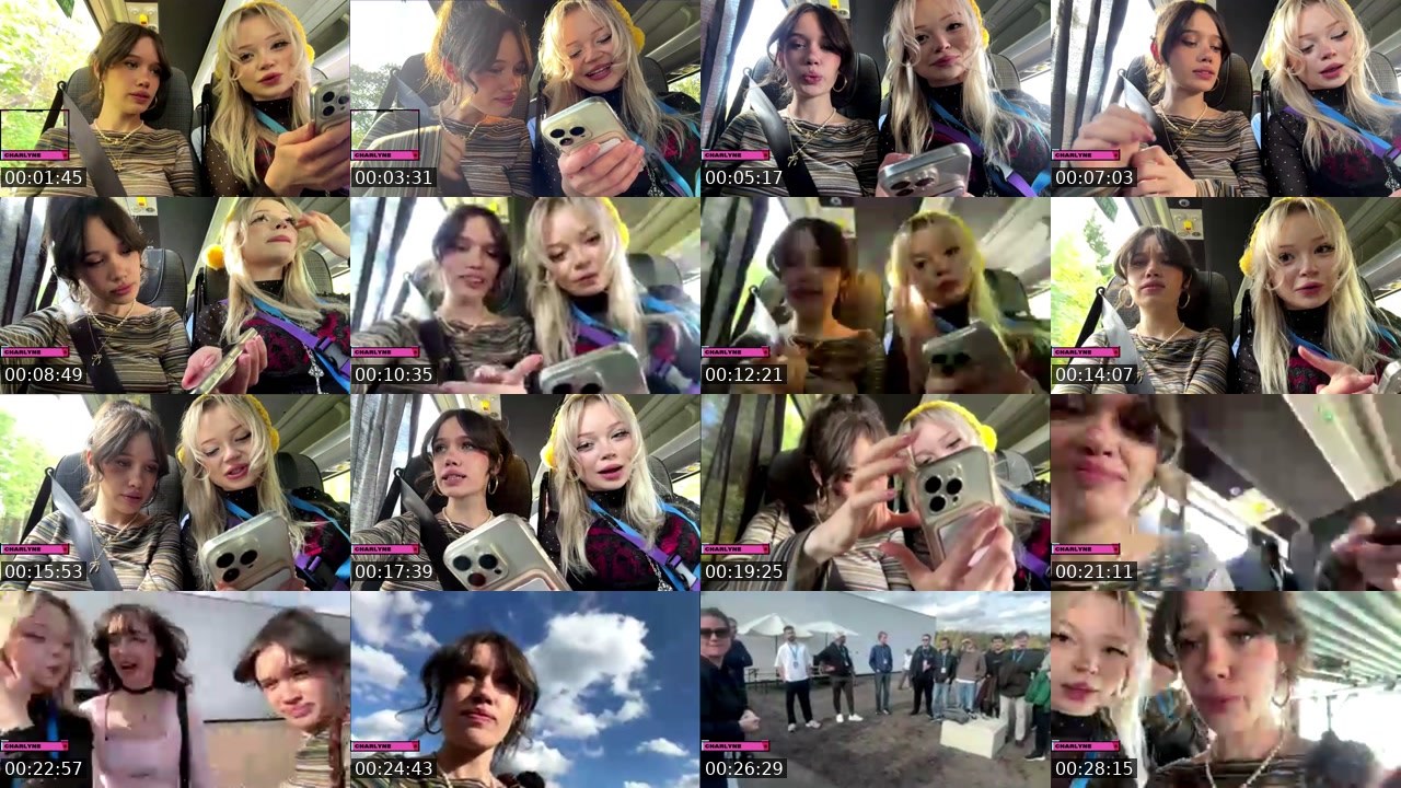Contact-sheet preview of Charlyne's Twitch recording