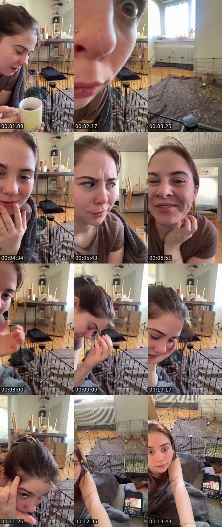 Contact-sheet preview of chickshnitty's Twitch recording