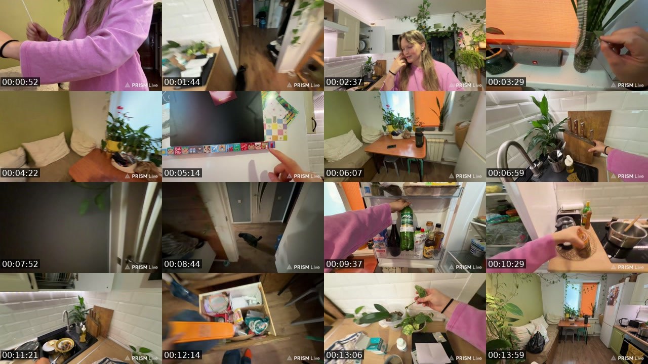 Contact-sheet preview of kris_grizliks's Twitch recording