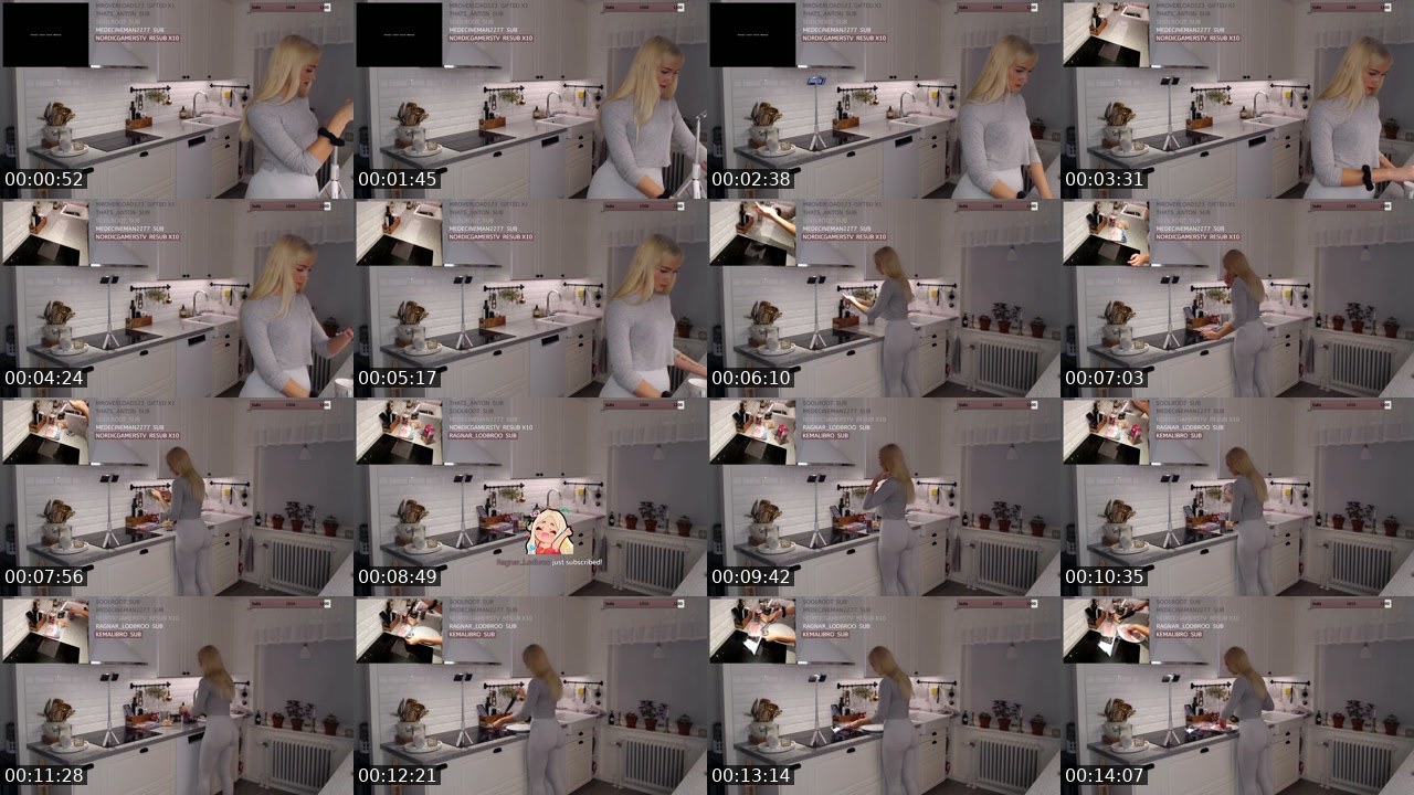 Contact-sheet preview of LinnyNova's Twitch recording