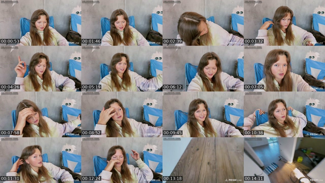 Contact-sheet preview of kris_grizliks's Twitch recording