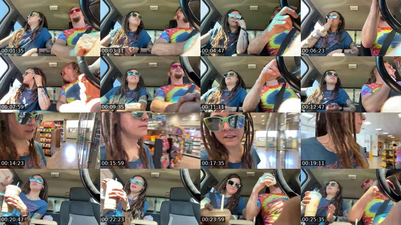 Contact-sheet preview of AlyssaWilds's Twitch recording