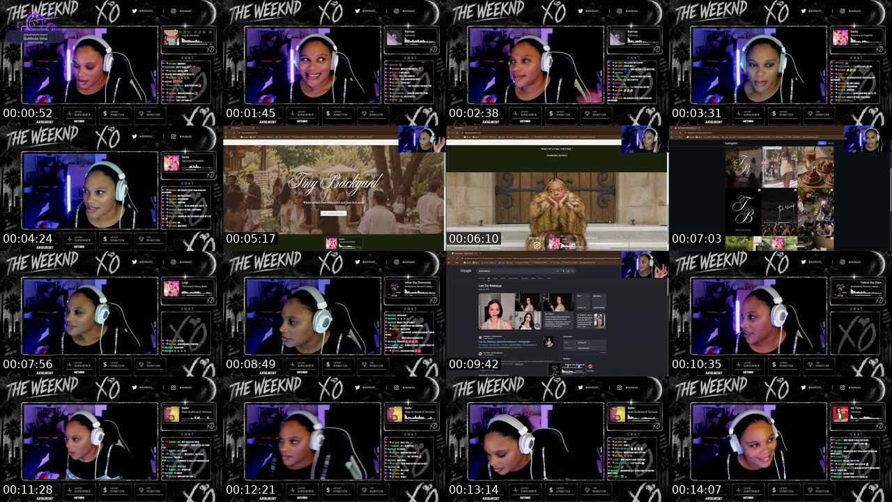 Contact-sheet preview of Akirajanelle's Twitch recording